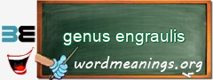 WordMeaning blackboard for genus engraulis